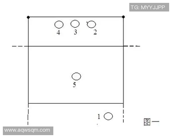 南京排球队引领最新排球战术十大策略全面解析与应用探讨