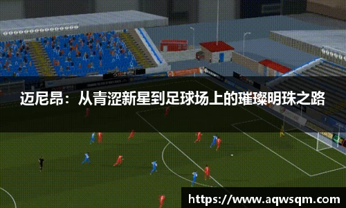 迈尼昂：从青涩新星到足球场上的璀璨明珠之路